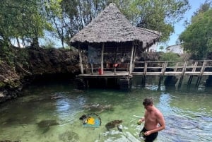 Zanzibar: Nungwi Mnarani Aquarium – mat og svømming med skilpadder