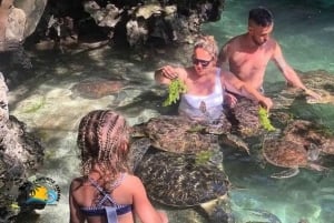 Zanzibar: Nungwi Mnarani Aquarium – mat og svømming med skilpadder