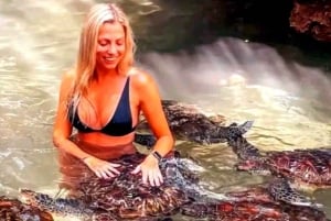 Zanzibar: Nungwi Mnarani Aquarium – mat og svømming med skilpadder