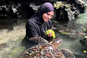 Zanzibar: Nungwi Mnarani Aquarium – mat og svømming med skilpadder