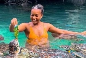 Zanzibar: Nungwi Mnarani Aquarium – mat og svømming med skilpadder