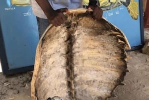 Zanzibar: Nungwi Mnarani Aquarium – mat og svømming med skilpadder