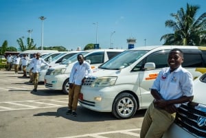 Zanzibar : excursion guidée d'une demi-journée à l'aquarium des tortues de Nungwi