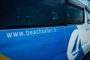 Zanzibar : excursion guidée d'une demi-journée à l'aquarium des tortues de Nungwi