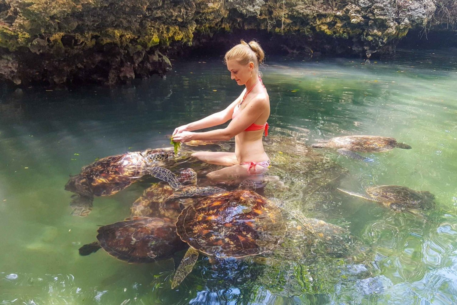 Zanzibar: Półdniowa wycieczka z przewodnikiem do Nungwi Turtle Aquarium