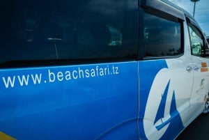 Zanzibar : excursion guidée d'une demi-journée à l'aquarium des tortues de Nungwi