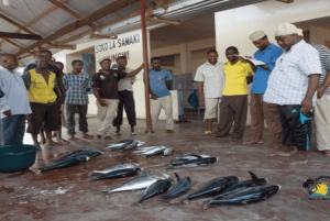 Zanzibar: Tur til landsbyen Nungwi og matlagingskurs