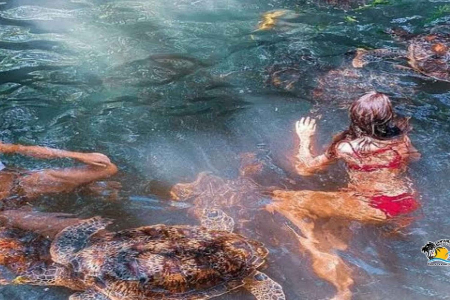 Zanzibar: Rundtur i byn Nungwi och simning med sköldpaddor