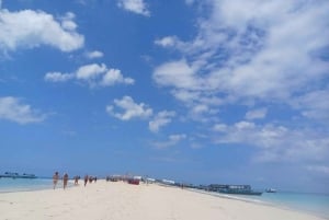 ザンジバル：ニャンゲサンドバンクのプライベートツアー（シーフードランチ付き）