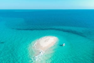 Zanzibar: Nyange Sandbank & Stone Town med frokost med skaldyr
