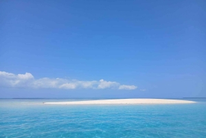 Sansibar: Nyange-Sandbank & Stone Town mit Meeresfrüchte-Mittagessen