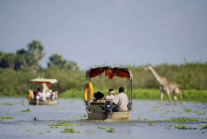 Zanzibar: safari in aereo al Nyerere Park con pranzo al sacco