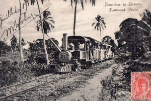 Zanzibar: rondleiding door de oude Bubu-spoorlijn