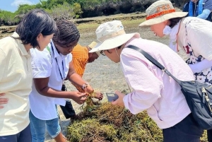 Zanzibar: Passeio pela Aldeia de Paje e Artesanato com Guia Local
