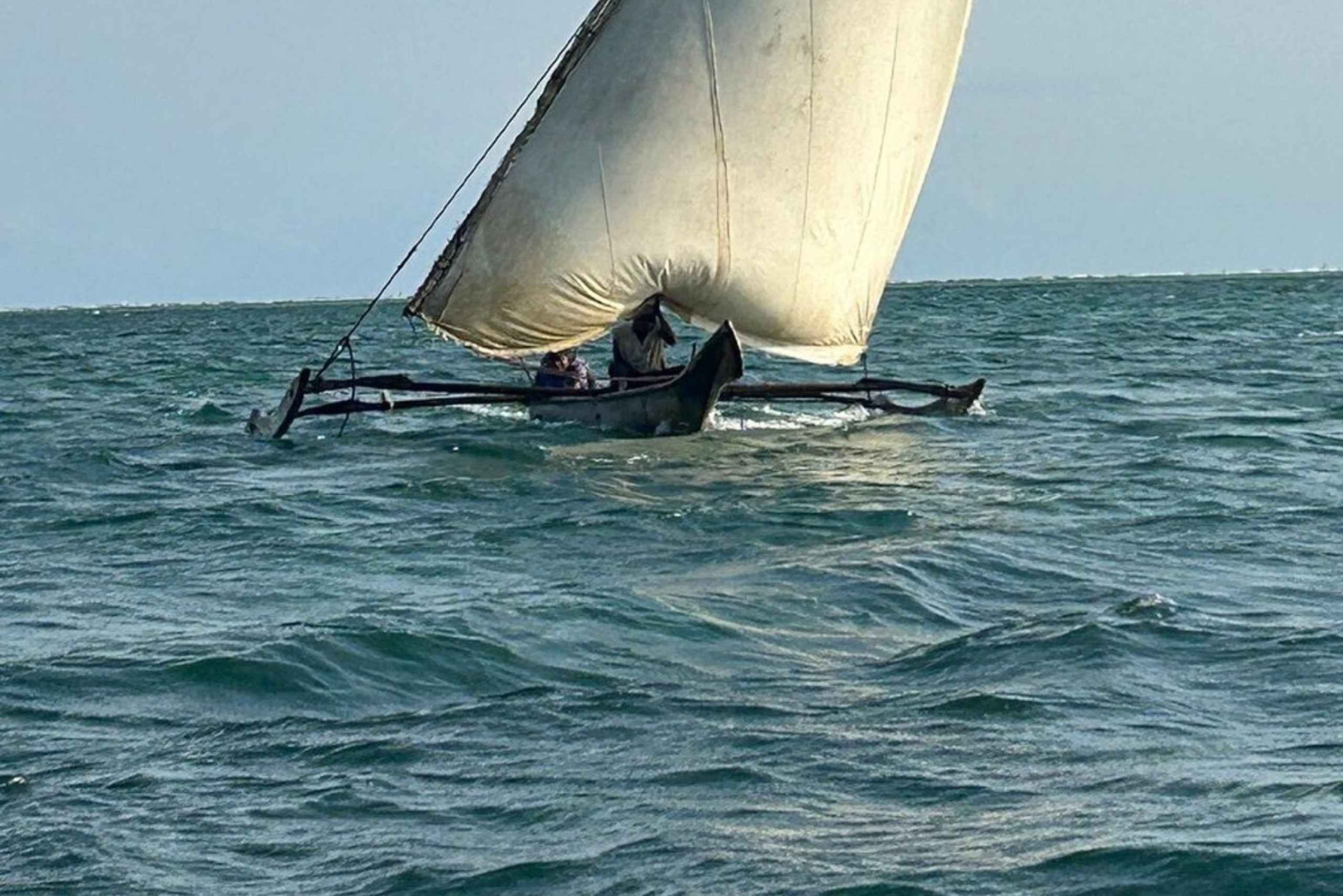 Zanzibar: Tutustu Jozanin metsään, matelijapuistoon ja Mtende Beachiin