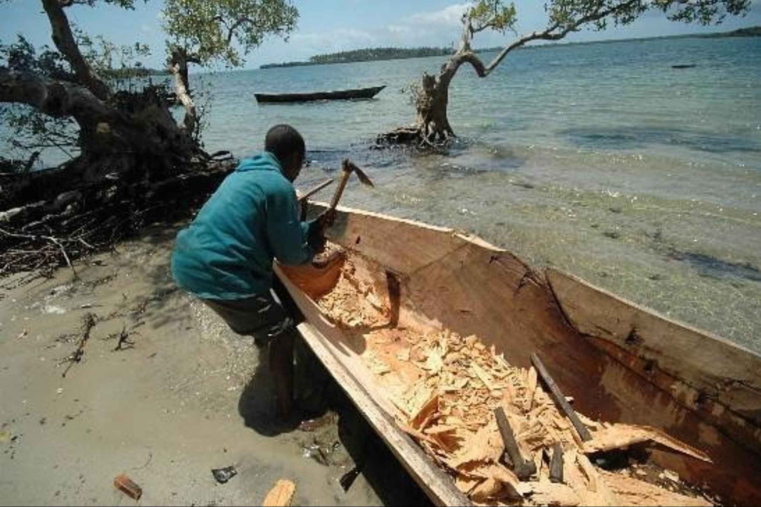 Zanzibar: Tutustu Jozanin metsään, matelijapuistoon ja Mtende Beachiin