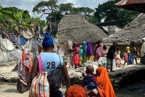 Zanzibar: Tutustu Jozanin metsään, matelijapuistoon ja Mtende Beachiin