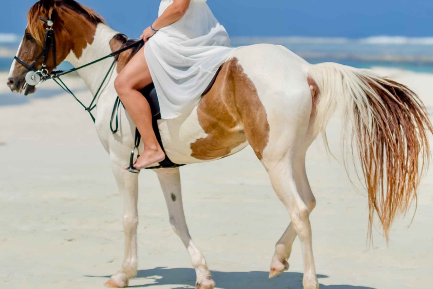 ザンジバル：現地のフォトグラファーとの写真撮影セッションをご案内します