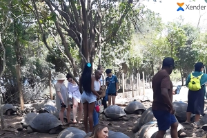 Zanzibar : excursion d'une journée sur l'île-prison et à Nakupenda