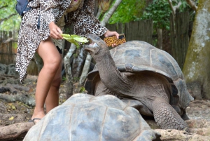 Занзибар: Тюремный остров, Накупенда и обед
