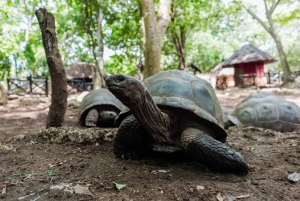 Занзибар: Тюремный остров, Накупенда и обед