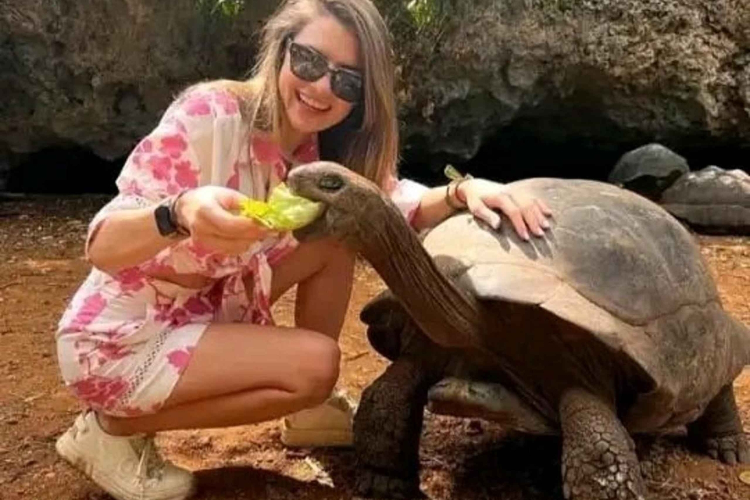 Zanzibar: passeio de um dia pela ilha da prisão e pelo mercado de comida noturno