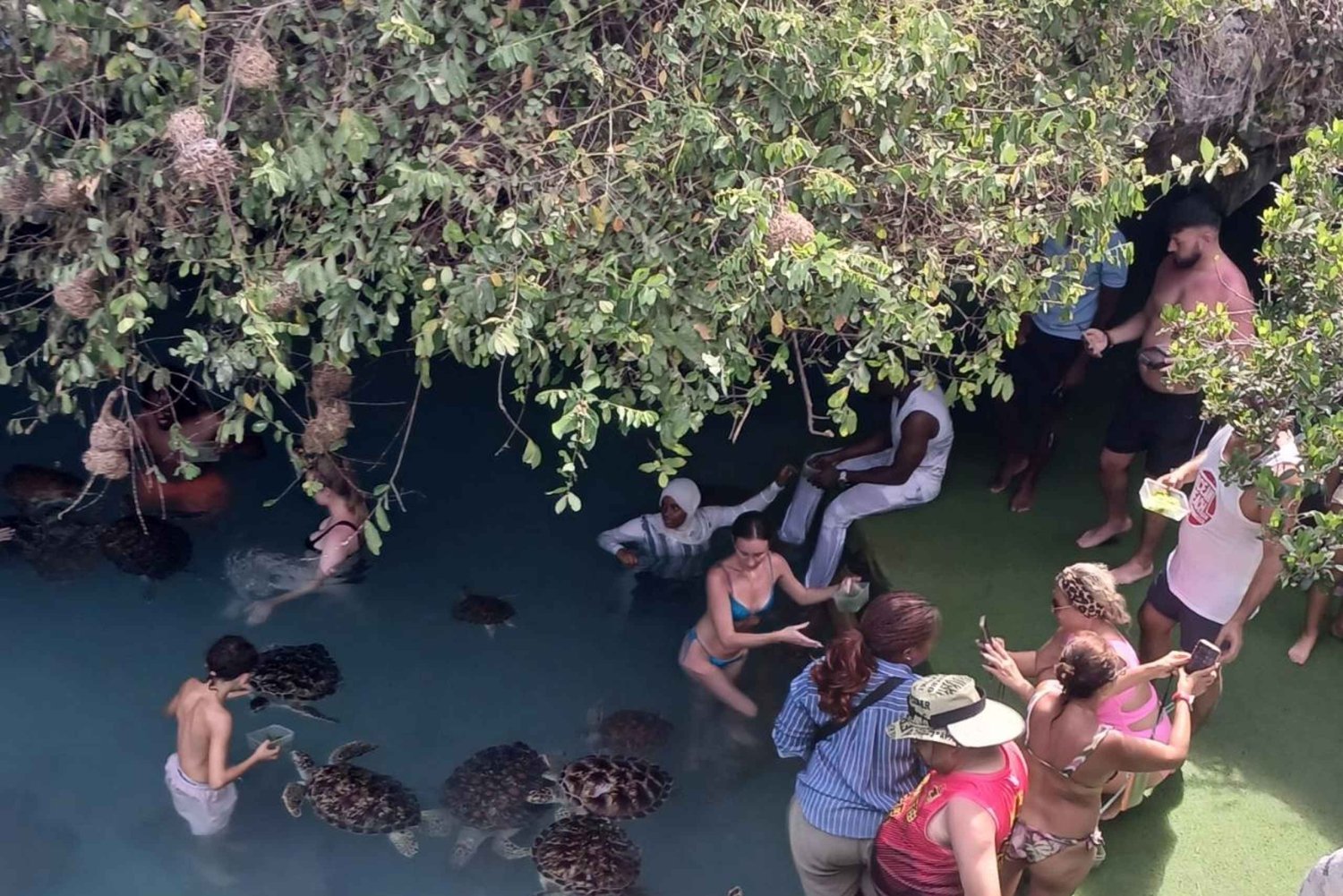 ЗАНЗИБАР: Исследуйте Тюремный остров и пещеру Салаам, где обитают черепахи