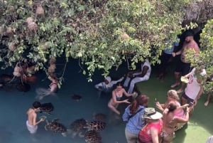 ZANZIBAR: Utforsk Prison Island og Salaam Cave med skilpadder