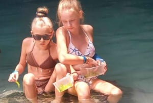 ZANZIBAR: Utforsk Prison Island og Salaam Cave med skilpadder