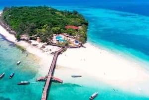 ZANZIBAR: Utforsk Prison Island og Salaam Cave med skilpadder