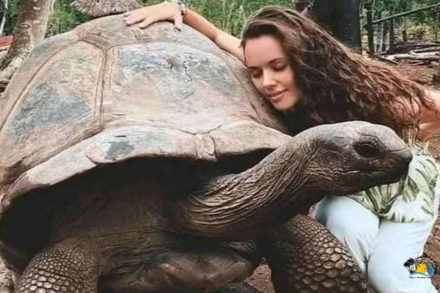 Zanzibar: Prison Island and Stone Town Tour Experience