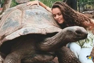 Zanzibar: Prison Island and Stone Town Tour Experience