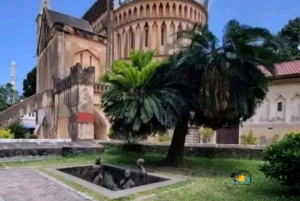 Zanzibar: Prison Island and Stone Town Tour Experience