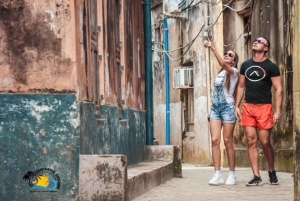 Zanzibar: Prison Island and Stone Town Tour Experience