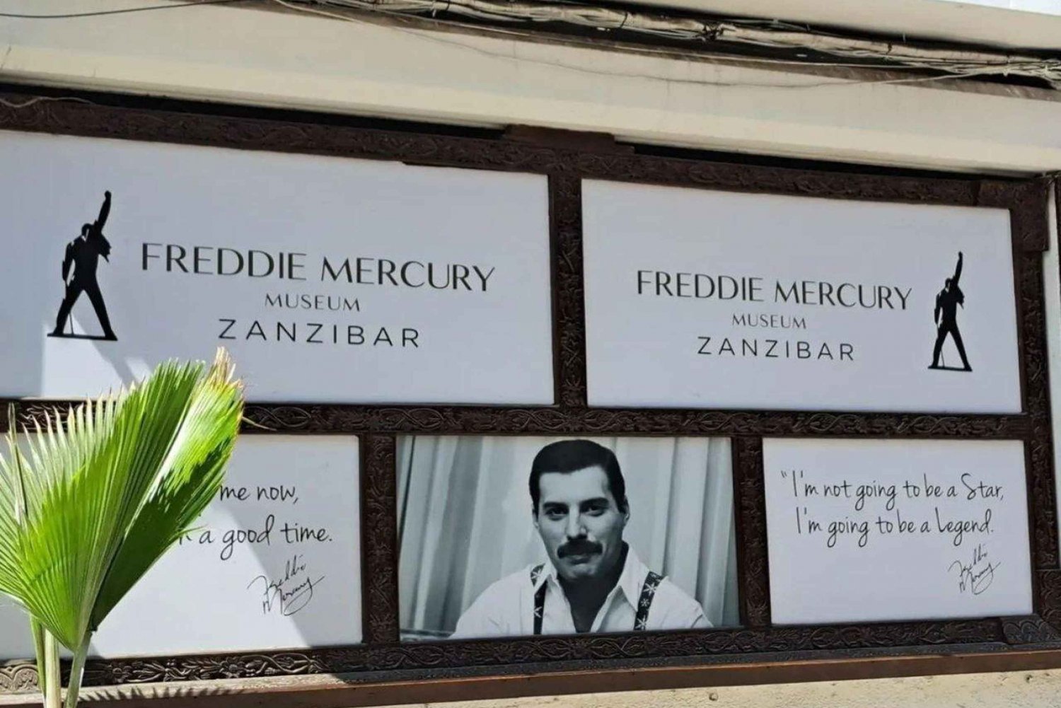 Zanzibar: Rundvisning på fængselsøen og i Stone Town