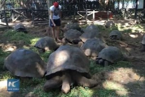 SANSIBAR: Gefängnisinsel und Nakupenda-Sandbank mit Mittagessen