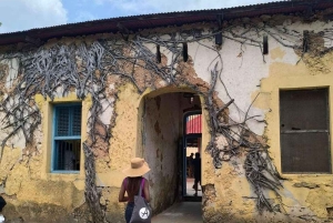 ZANZIBAR: Fangeøya, grottesvømming og den blå lagunen