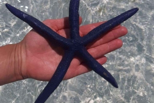 ZANZIBAR: Fangeøya, grottesvømming og den blå lagunen