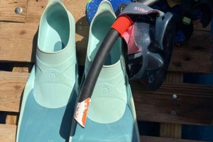 ZANZIBAR: Fangeøya, grottesvømming og den blå lagunen