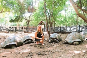 Zanzíbar: isla de la Prisión y encuentro con tortugas gigantes.