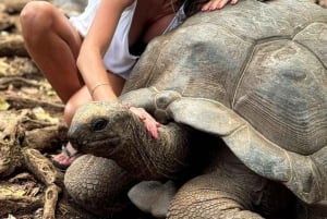 ZANZIBAR: Prison Island & Giant Tortoises Experience