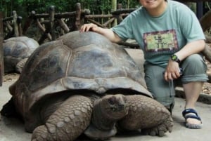 ZANZIBAR: Prison Island & Giant Tortoises Experience