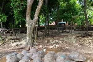 Zanzíbar: visita guiada a la isla de la prisión con un guía local