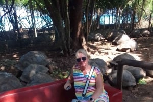 Zanzíbar: visita guiada a la isla de la prisión con un guía local