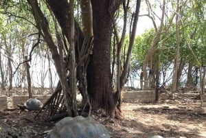 Zanzíbar: visita guiada a la isla de la prisión con un guía local