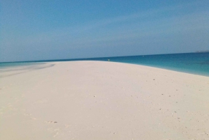 Zanzíbar: visita guiada a la isla de la prisión con un guía local