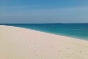 Zanzíbar: visita guiada a la isla de la prisión con un guía local