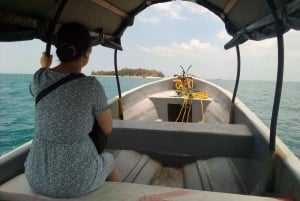 Zanzíbar: visita guiada a la isla de la prisión con un guía local