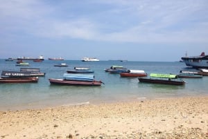 Zanzíbar: visita guiada a la isla de la prisión con un guía local