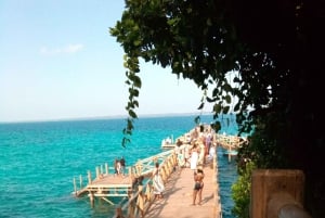 Zanzíbar: visita guiada a la isla de la prisión con un guía local